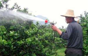 番茄叶面肥喷施注意事项和施用方法