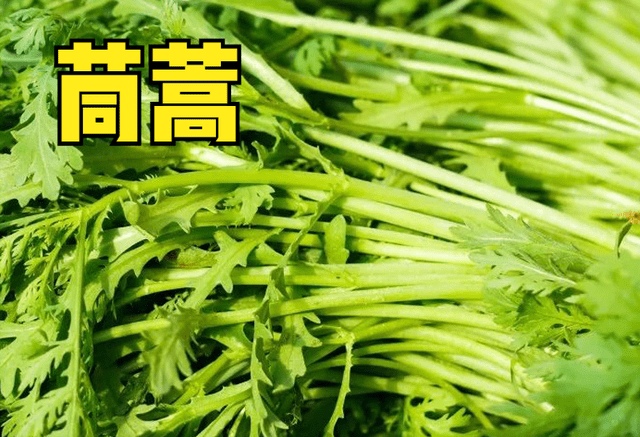 3月份，10种蔬菜可以种植，易存活，5-6月收获，菜农们别错过