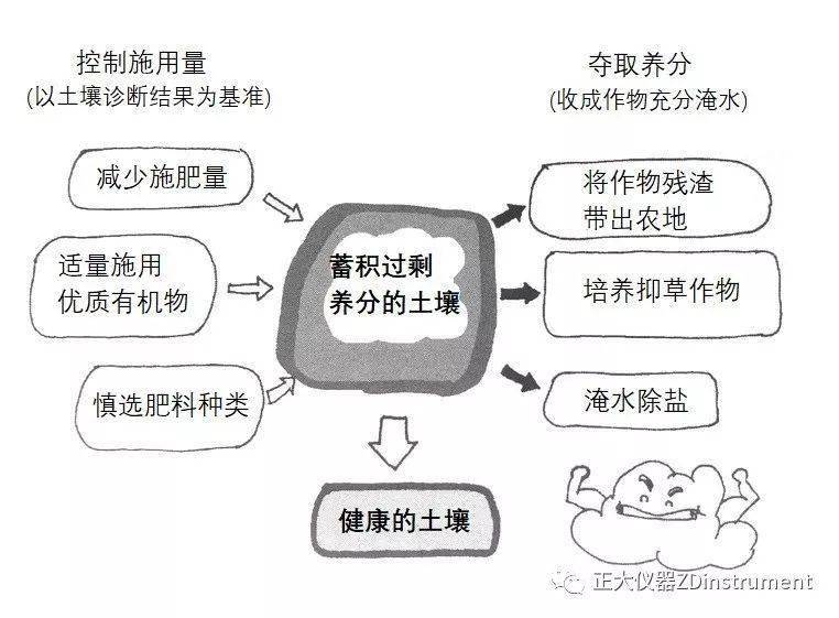 土壤过度施肥造成的障碍