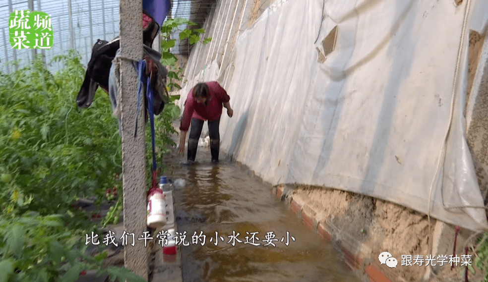 天气大变脸！多地降温达15℃，这些地方还要下雪！菜农多注意！