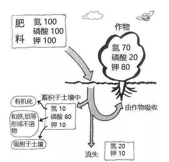 土壤过度施肥造成的障碍