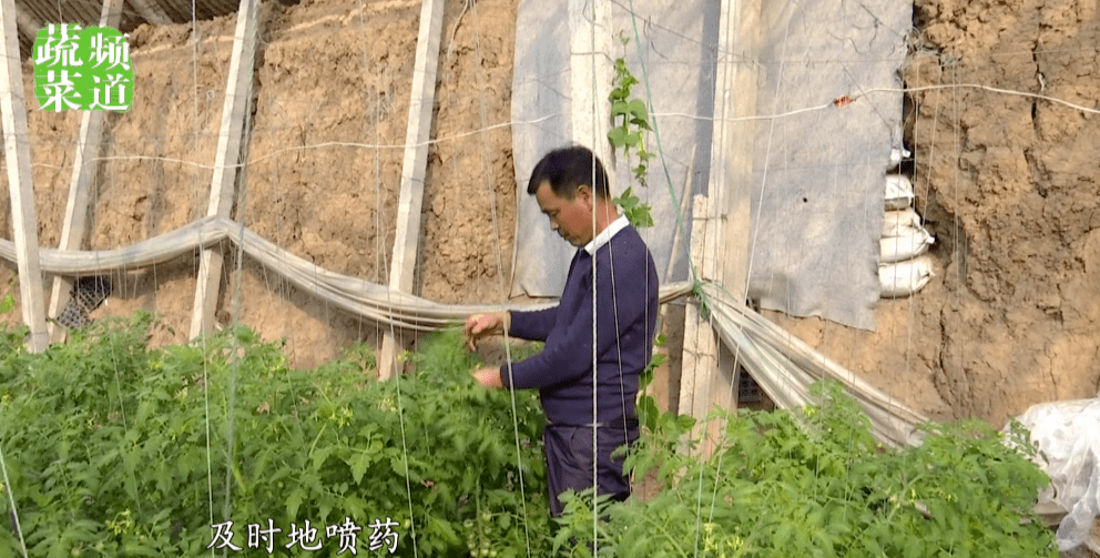 天气大变脸！多地降温达15℃，这些地方还要下雪！菜农多注意！