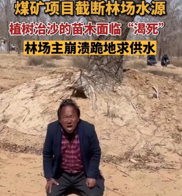 万亩林场主跪地求水！网友提出三点质疑，沙漠到底该不该种树？