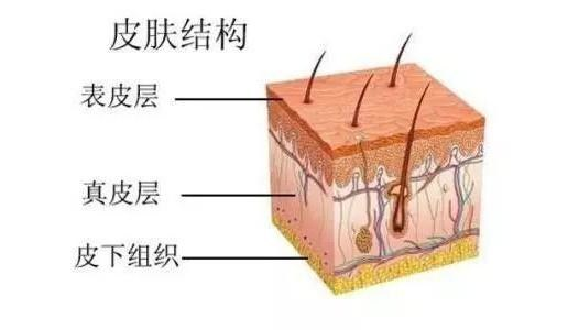 打一针=敷1000张面膜？今天我们来扒一扒火出圈的水光针