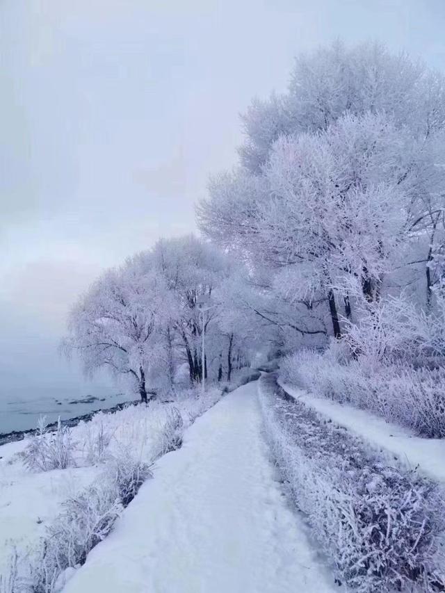 芽苗菜种植，安全健康又美味