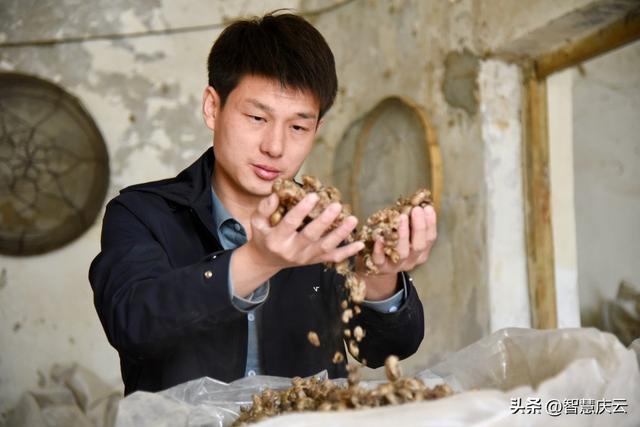 庆云小伙子承父业种植销售中药材，拓宽农民致富路