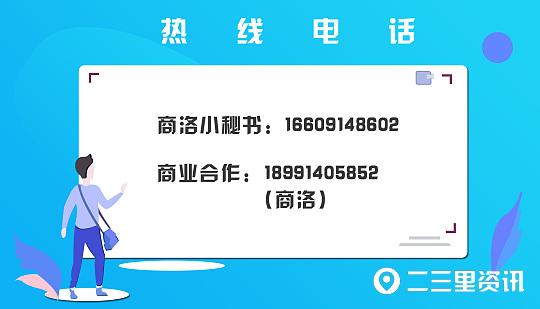 「探秘秦岭」丹凤天麻：高海拔林下种植营养丰富，20亩年产值40万