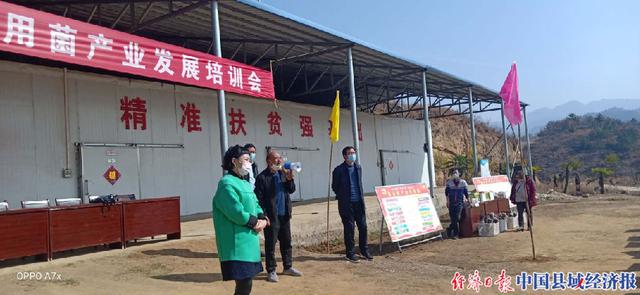 河南南召留山镇：产业培训出实招 香菇种植掀热潮