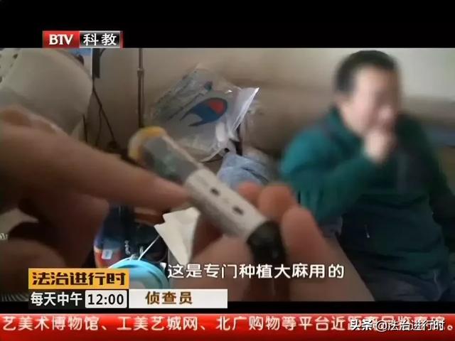 北京一男子居然在家种大麻，自产自吸