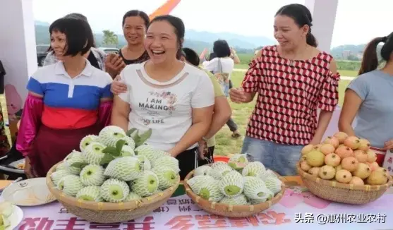 省农科院果树研究所教你番石榴优质高产种植技术