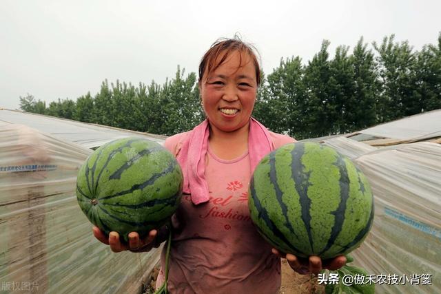 西瓜如何种植才能又大又甜又早上市？