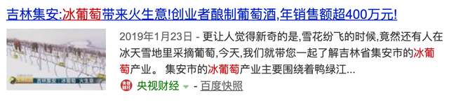 冰葡萄你可种过？有人靠它年入1000万