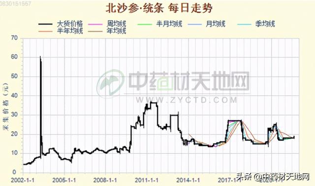 北沙参产新渐近关注商家增多 行情将如何？