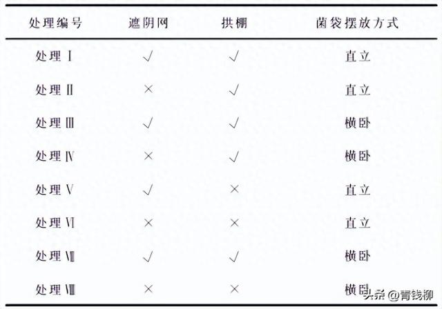 野生金针菇杨树林下栽培及效益分析