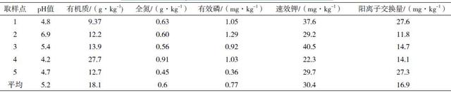 贵州六省枝特区黄金芽茶栽培技术