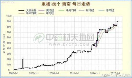 药材重楼供不应求，价格持续上涨！