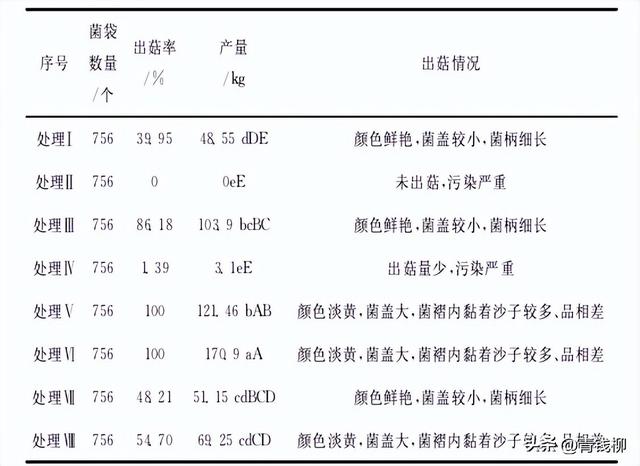 野生金针菇杨树林下栽培及效益分析