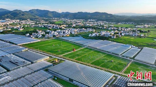 航拍江西于都富硒蔬菜基地 夕照大棚整齐划一