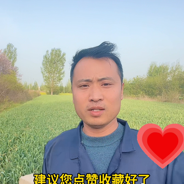 早蒜晚蒜都要这样做#分享农业知识帮农民增产增收