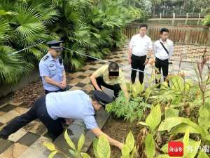 火麻种植违法(“喂喂，警察吗？我们小区里好像有人种大麻……”)