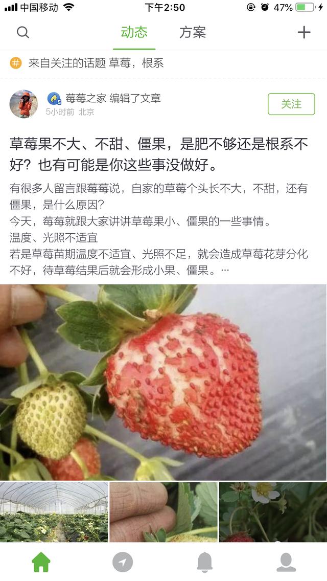 一个种植APP，为你解决一些种植遇到的问题