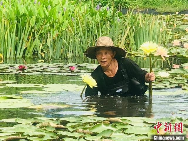 台湾莲花扎根大陆：打开乡村“共富开关”