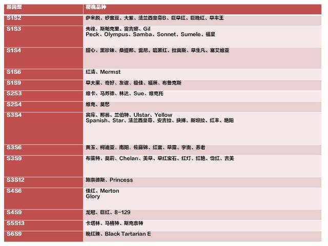 选对了，就成功了一半！甜樱桃的建园、品种、授粉树，你必须懂