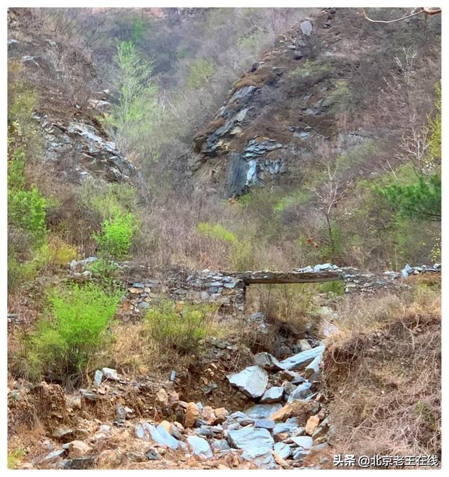 密云印象｜错过了今年密云大山里杜鹃花的花期，明年一定会再去。