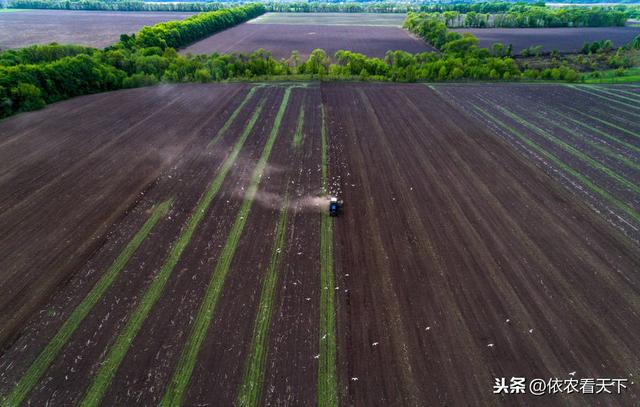 山药种植难度大，提前做好3个基础保障措施，可减少后期工作量