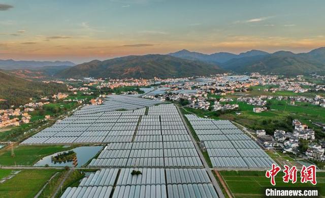 航拍江西于都富硒蔬菜基地 夕照大棚整齐划一