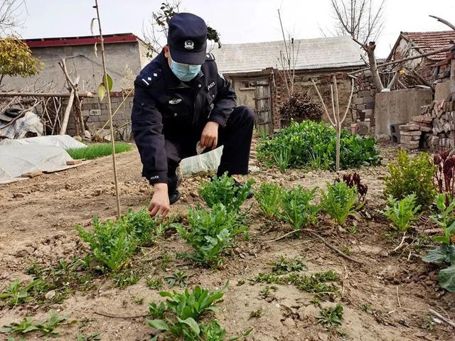 种植罂粟多少就犯法？一株也不行！