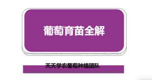 葡萄种子种植方法(苗壮半收成葡萄育苗全解扦插、绿枝嫁接、压条，记住这些技巧)