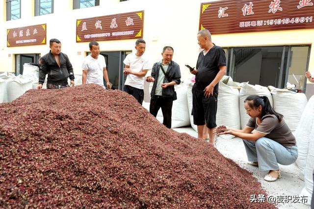 天水麦积花椒产业园迎来首个“开门红”