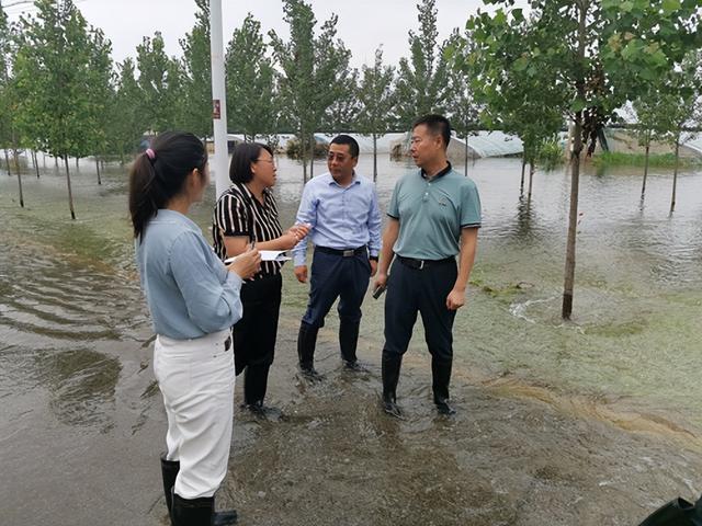 农业农村部种植业司前线工作组赶赴天津调研指导农业防灾减灾工作