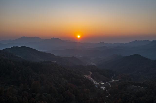 岭南叶正红，广东有座“红枫茶山”