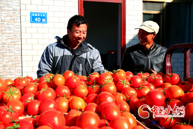 甘州：“柿”业红火村民乐