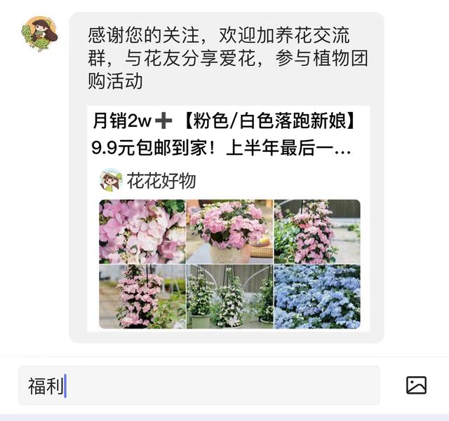 菠萝蜜种子，吃完了不要扔，养活就是“大宝贝”