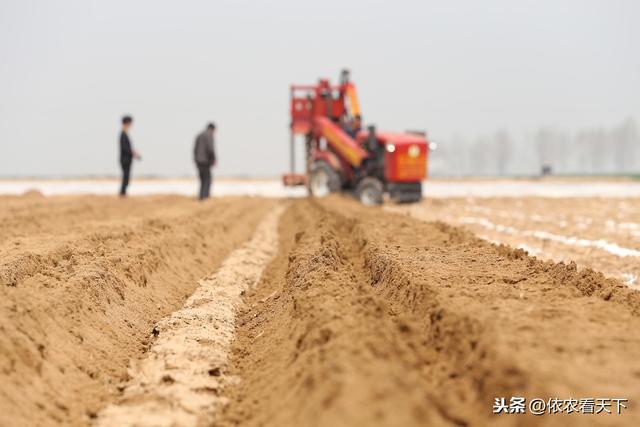 山药种植难度大，提前做好3个基础保障措施，可减少后期工作量