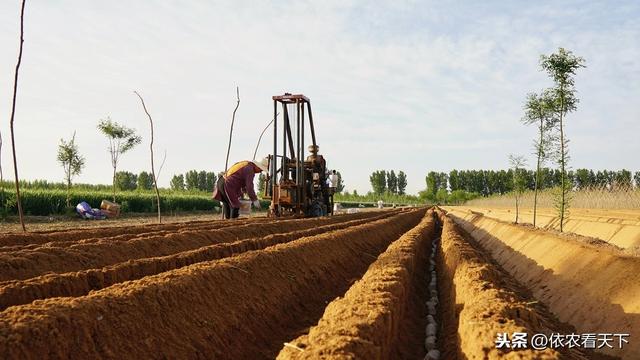 山药种植难度大，提前做好3个基础保障措施，可减少后期工作量