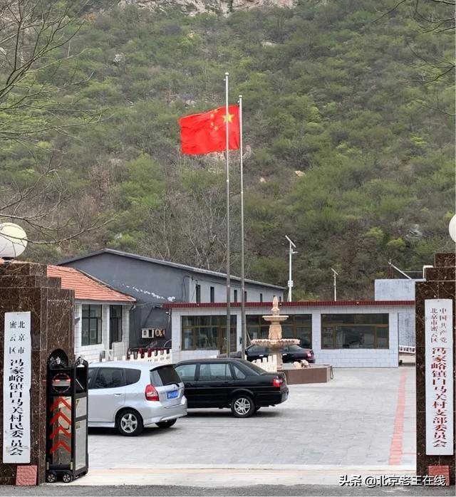 密云印象｜错过了今年密云大山里杜鹃花的花期，明年一定会再去。