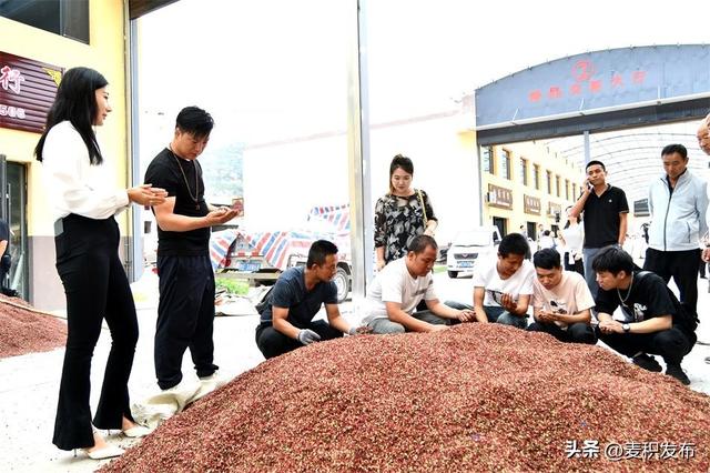 天水麦积花椒产业园迎来首个“开门红”