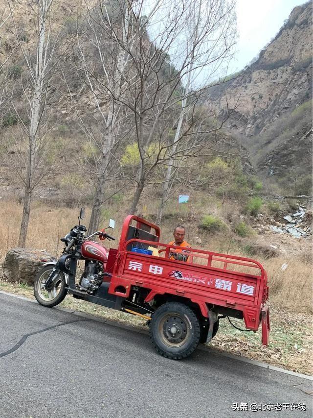 密云印象｜错过了今年密云大山里杜鹃花的花期，明年一定会再去。