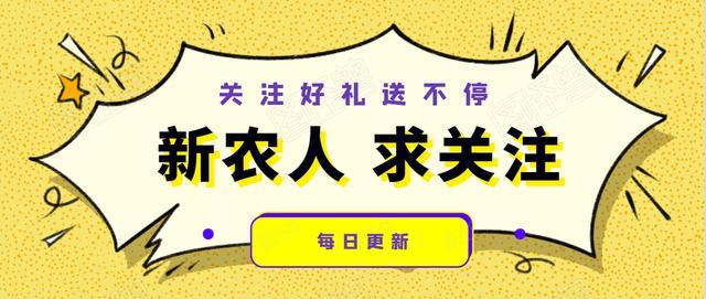 园林绿化植物种植，与养护技术管理，值得看看