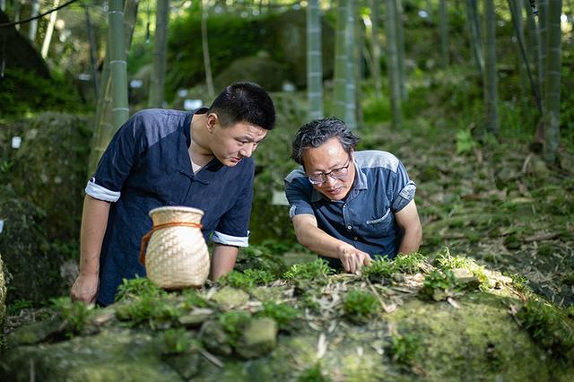 霍山石斛：一株秀出满园春