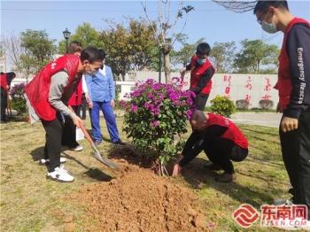 厦门集美：系列植树节活动“志愿红”播种“生态绿”