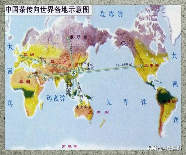 详解：中国茶叶栽种历史与海外传播史