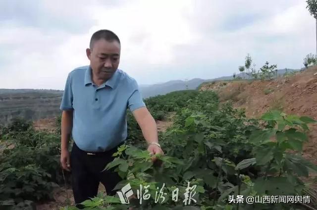 李茂泉转行，转得好