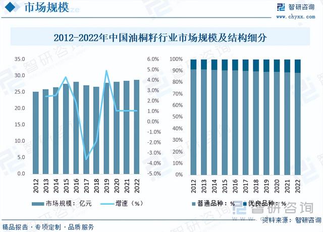 2023年油桐籽市场现状：桐油转化为生物柴油，市场潜力大有可为