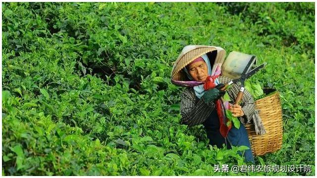 现代农业体系发展新型模式项目立项申请书