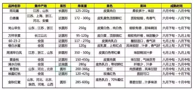 水蜜桃是桃树界人气之星，如何栽培？这分种植方案较为全面